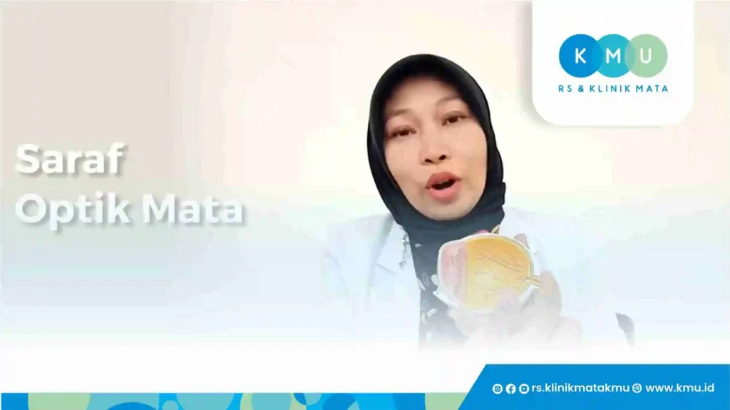 Apa Itu Saraf Optik Mata (Nervus Opticus)