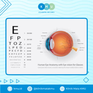 Struktur badan kaca pada mata