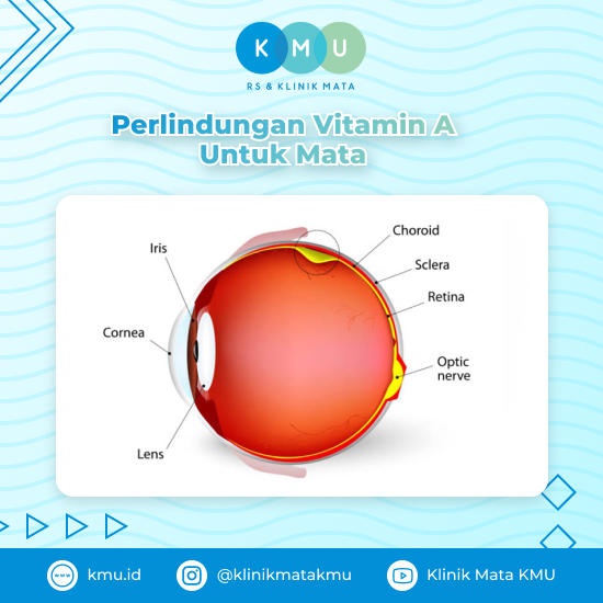 Manfaat Vitamin A Untuk Mata