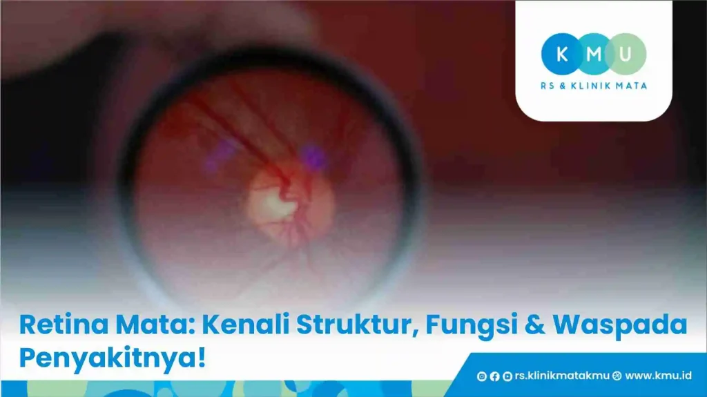Retina Mata: Kenali Struktur, Fungsi & Waspada Penyakitnya!