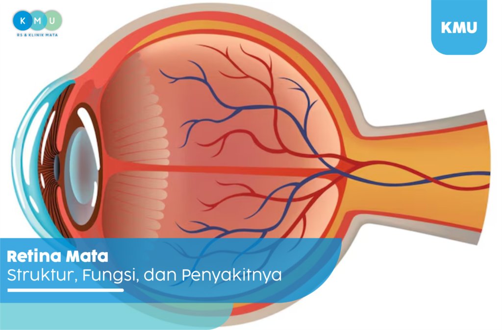Retina mata