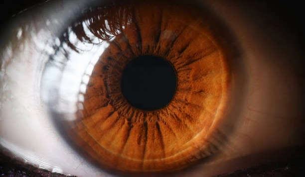 peran Iris Terhadap pupil
