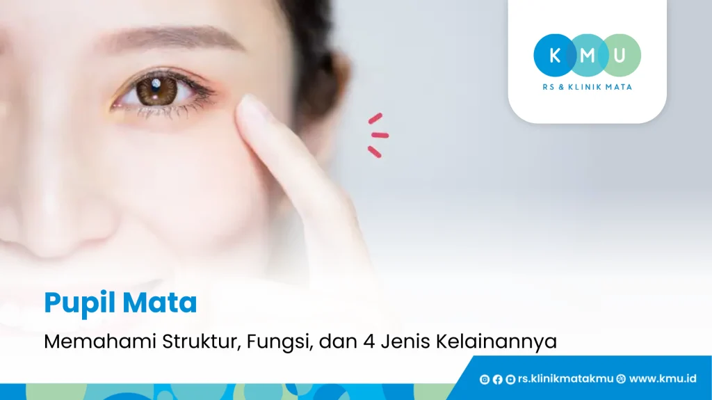 Pupil Mata - Memahami Struktur, Fungsi, dan 4 Jenis Kelainannya