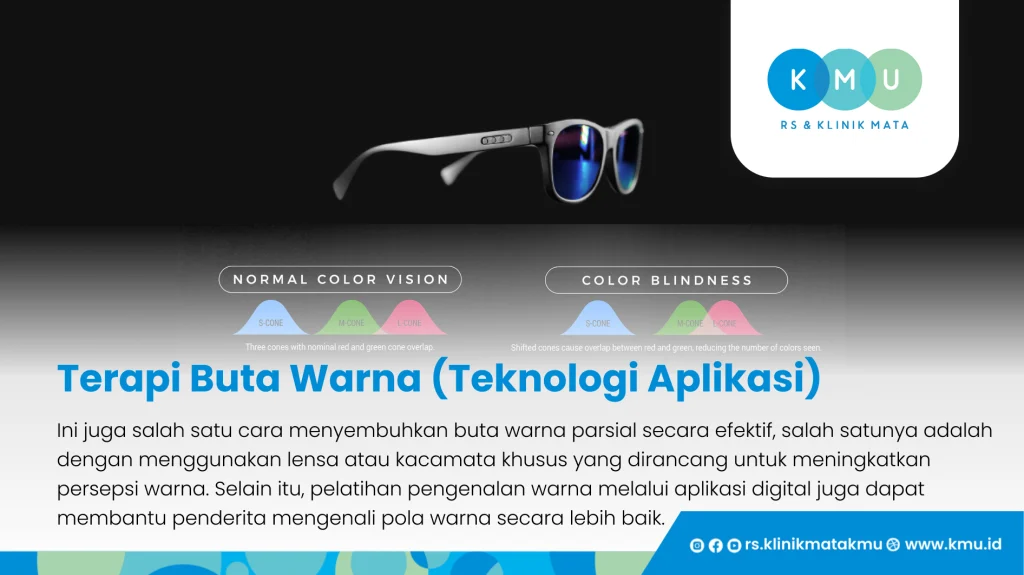 Teknologi aplikasi - Terapi Buta Warna
