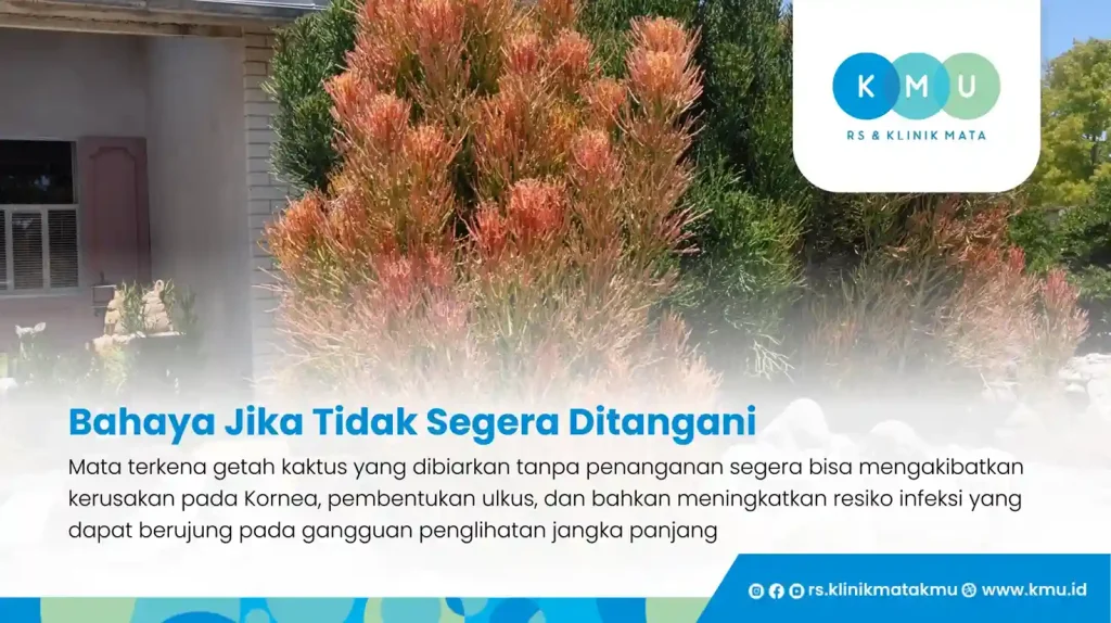 Bahaya Jika Tidak Segera Ditangani