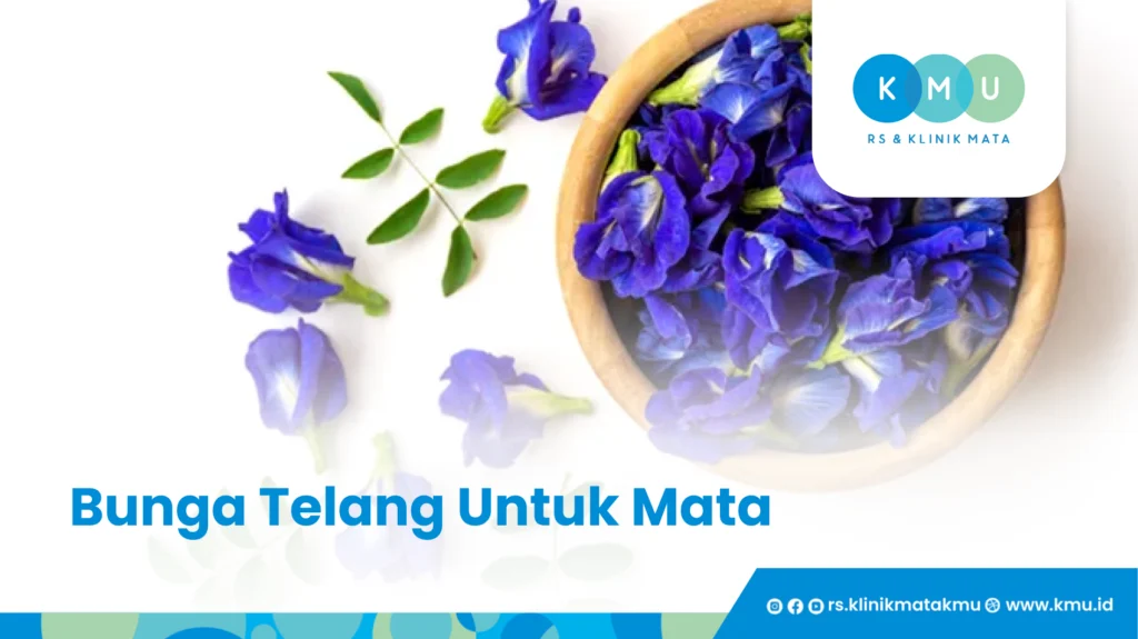 Bunga telang - Tanaman Herbal