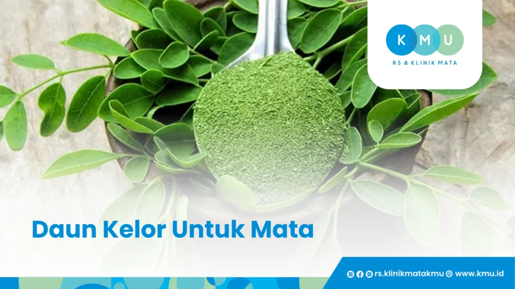 Daun Kelor - Tanaman Herbal